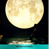 πβ¨ Harvest Full Supermoon Bath Ritual β¨π