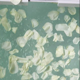 Luxe Cold Plunge & Rose Bath Experience