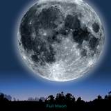 Blue Super Moon Bath Ritual Guide (Digital PDF)